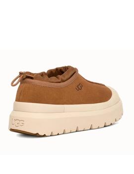 Zueco UGG Tasman Weather Hybrid hombre